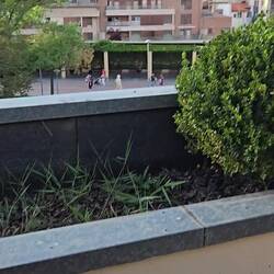 You could not hear the very loud fireworks on my phone. Hope it stops soon.