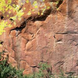 Wer erkennt die Felsmalereien?