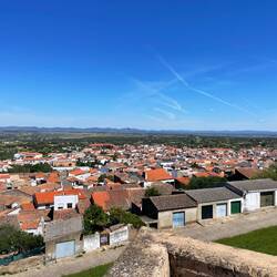 Ein verschlafenes Nest