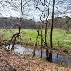 Idyllisch geht's weiter...