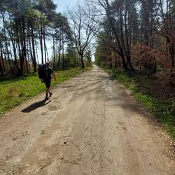 ...dann kommen die Pisten 🤔