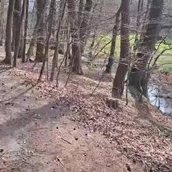 Der Tag in Bildern🎥