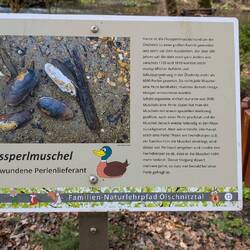 Habe nicht gewusst, dass es sowas gibt. Aber hier an der Ölschitz erwartet uns Überraschendes