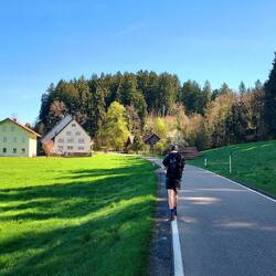 Morgenstimmung