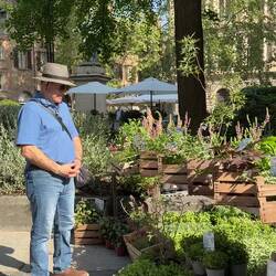 Herbs galore ... Bologna in Fiore @ Piazza Minghetti.