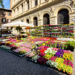 Bologna in Fiore @ Piazza Minghetti.