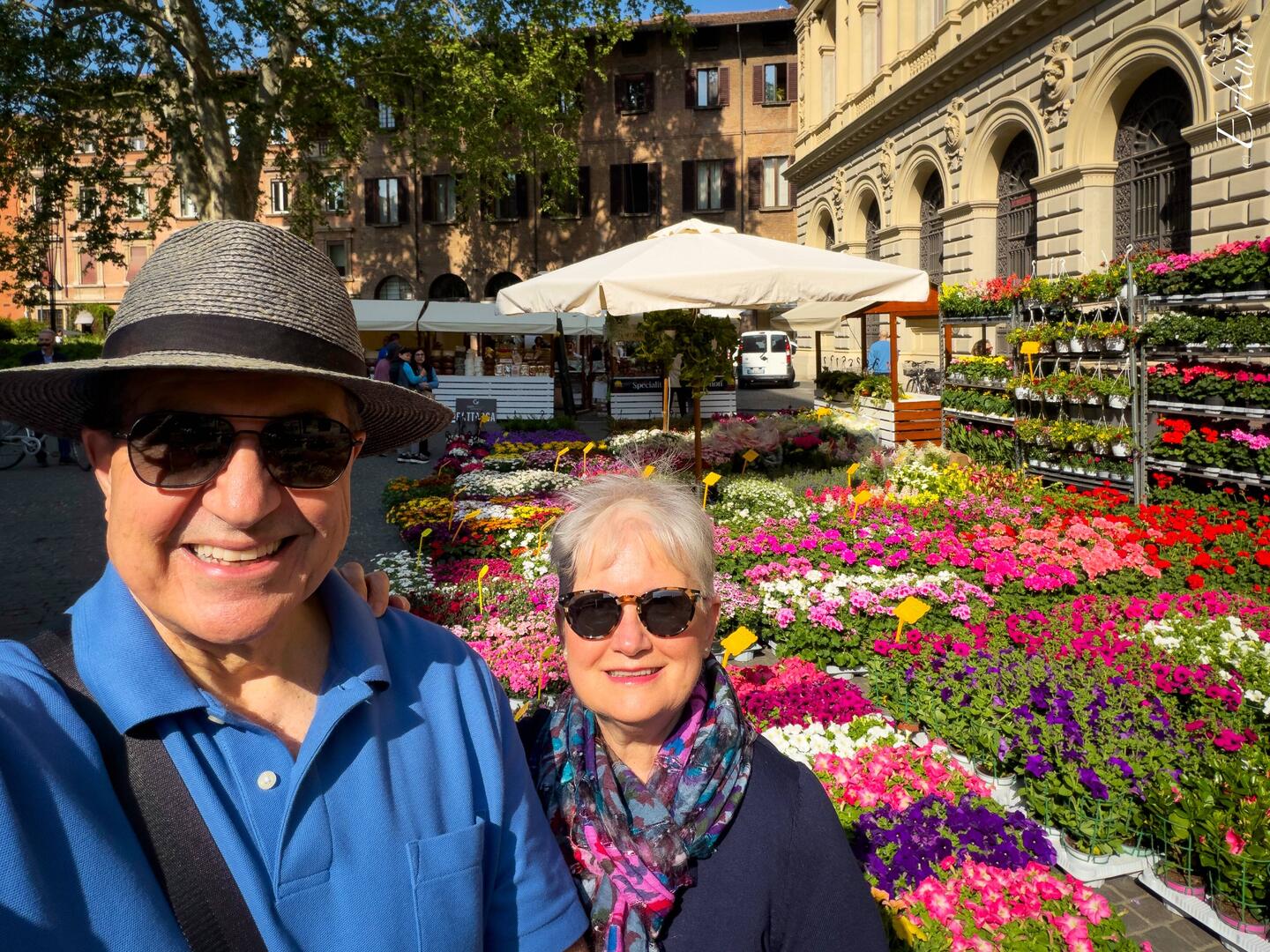 Greetings from Bologna in Fiore @ Piazza Minghetti.