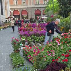 Bologna in Fiore @ Piazza Minghetti.