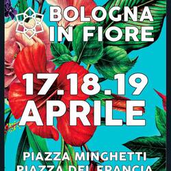 Bologna in Bloom ... Piazza Minghetti — Bologna, Italy.