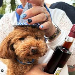 ... man, bin ich betrunken