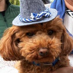 Lasst uns feiern und einen heben...