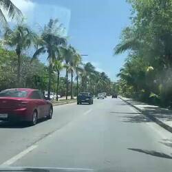 ...könnte auch in Miami sein...