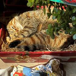 Da musste ich weinen, erinnert sie mich natürlich an Birdie