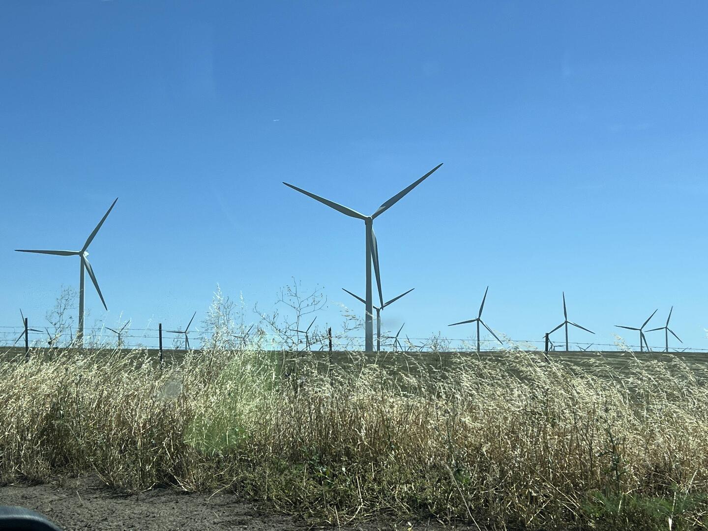 Large wind farm just west of Sacramento