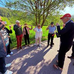 Zum Geburtstag 🎂 viel Glück 🍀, lieber Wolfgang !