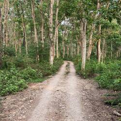 Durch den Nationalpark gibt es festgelegte Fahrwege. So haben die Tiere abseits davon Ruhe