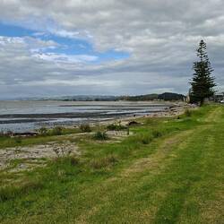 Kaiauau foreshore