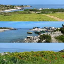 🚐 🚐 🔍👌🏻🤩