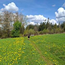....und auf wunderschönen Wiesenwegen unterwegs. 😎