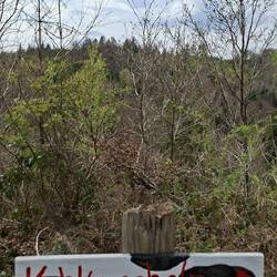 Nach rechts geht's zum Kuhkuscheln!😁