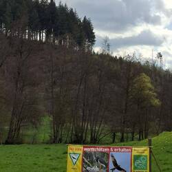 Zuerst sehen wir einen Greifvogel auf diesem Banner...