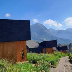 Die Cabins