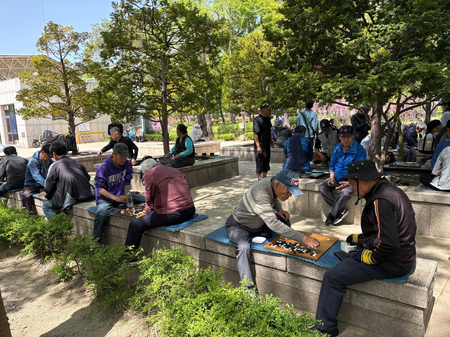 Koreanische Senioren spielen Baduk im Park.