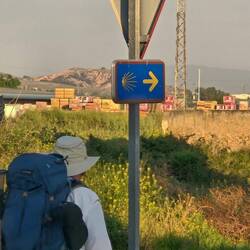 Phil's back on the Camino