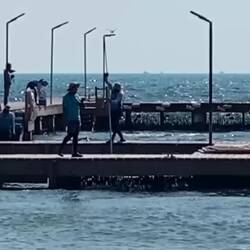 ...wir hätten aber auch mit Delfinen schwimmen können...