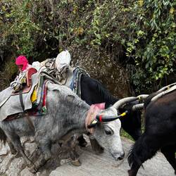 Le trafic que je rencontre 🚦