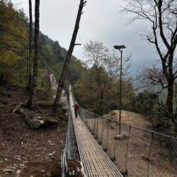 Un des ponts suspendu, faut pas avoir le vertige!
