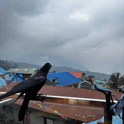 Je me suis fait un copain