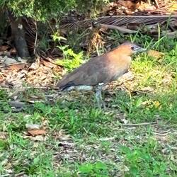 Outside the Confucius Temple
