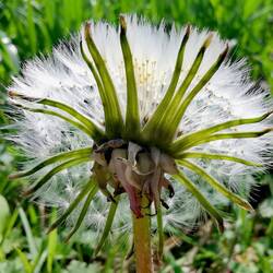 Art of nature!
