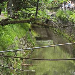 Philosopher's Path