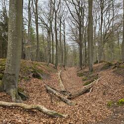 Schwedenwall