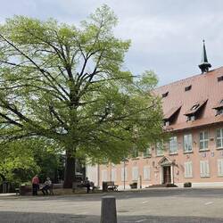 Das Rathaus ist ebenfalls hier oben.