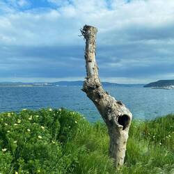 Der Blick aus unserem Wohnzimmer 😏