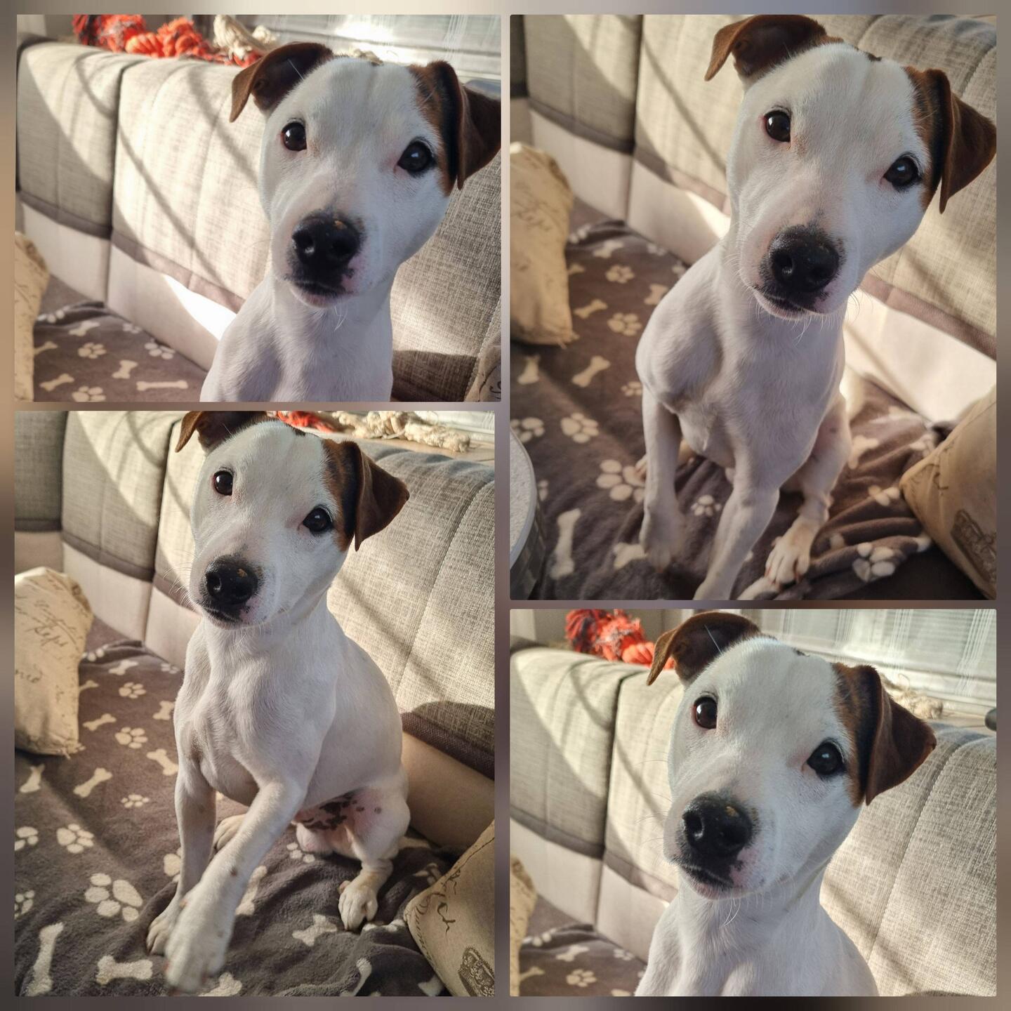 Diskussion am Frühstückstisch