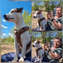 Hochstuhl Ute genutzt