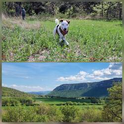 Mit Ausblick zur rechten Seite