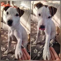 Man wurde ernergischer