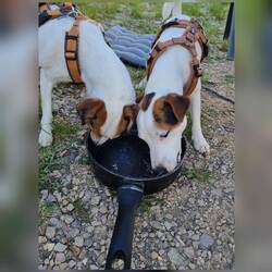 Und ab in die Spülmaschine