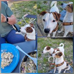 Wollten natürlich auch was