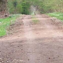 Tier des Tages II - ja, es gibt wirklich eins🐇