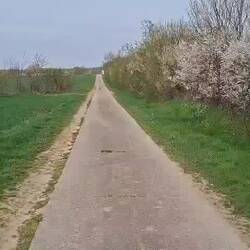 Wir mögen halt keine Pisten🤔