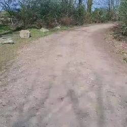 Rückblick aufs Frühstück🎥