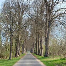 Und dann ging's los mit den Pisten...hier noch eine sehr schöne🌳
