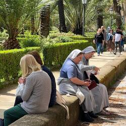 Wenn die Schwestern hier es überleben...