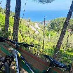 Und dann habe ich es ganz ohne 🚵🏻‍♀️ nicht ausgehalten...